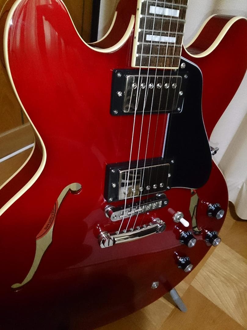 【ハードケース付属】 Burny SRSA65 ES-335タイプ