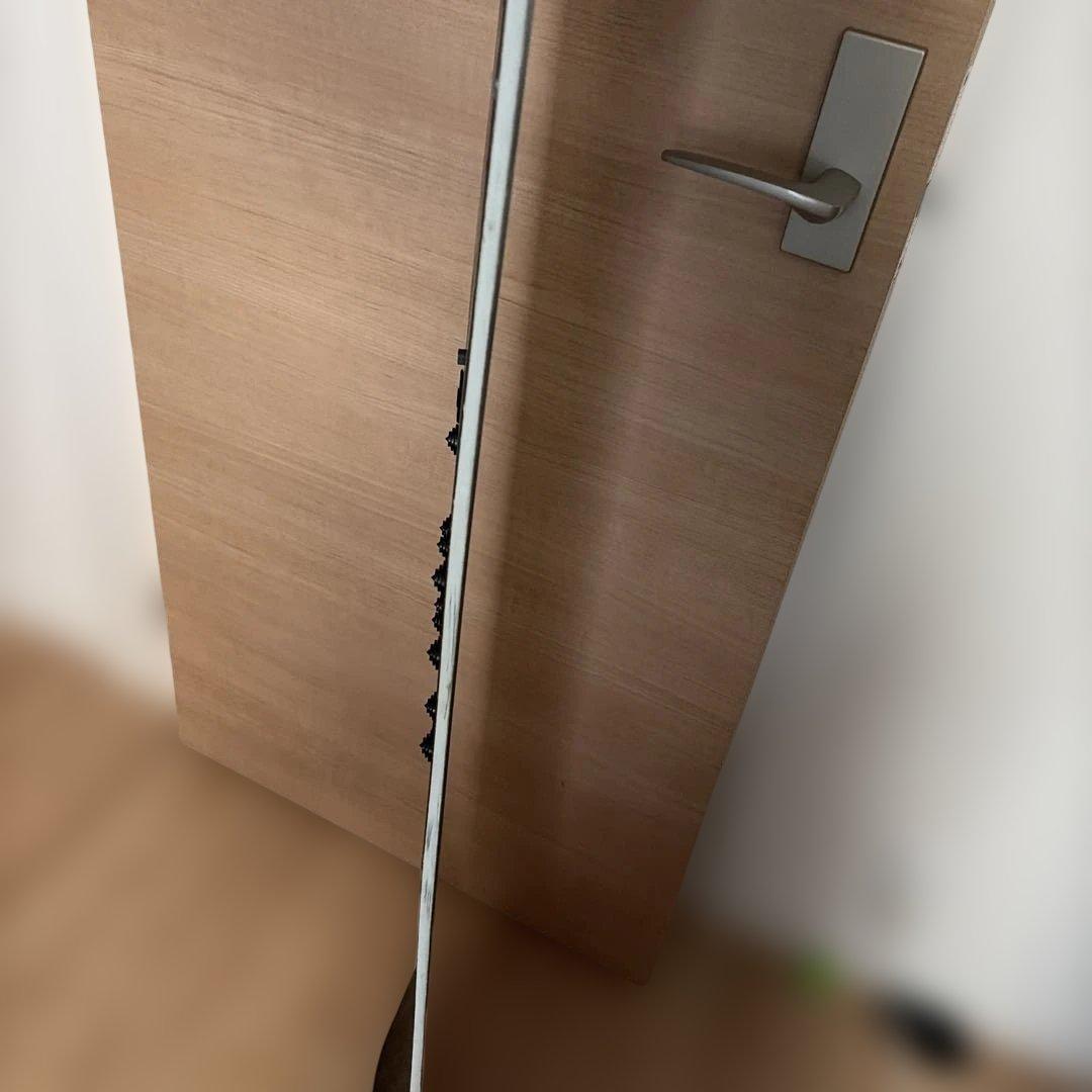 バートンカスタム　2019-2020モデル　154 キャンバーボード