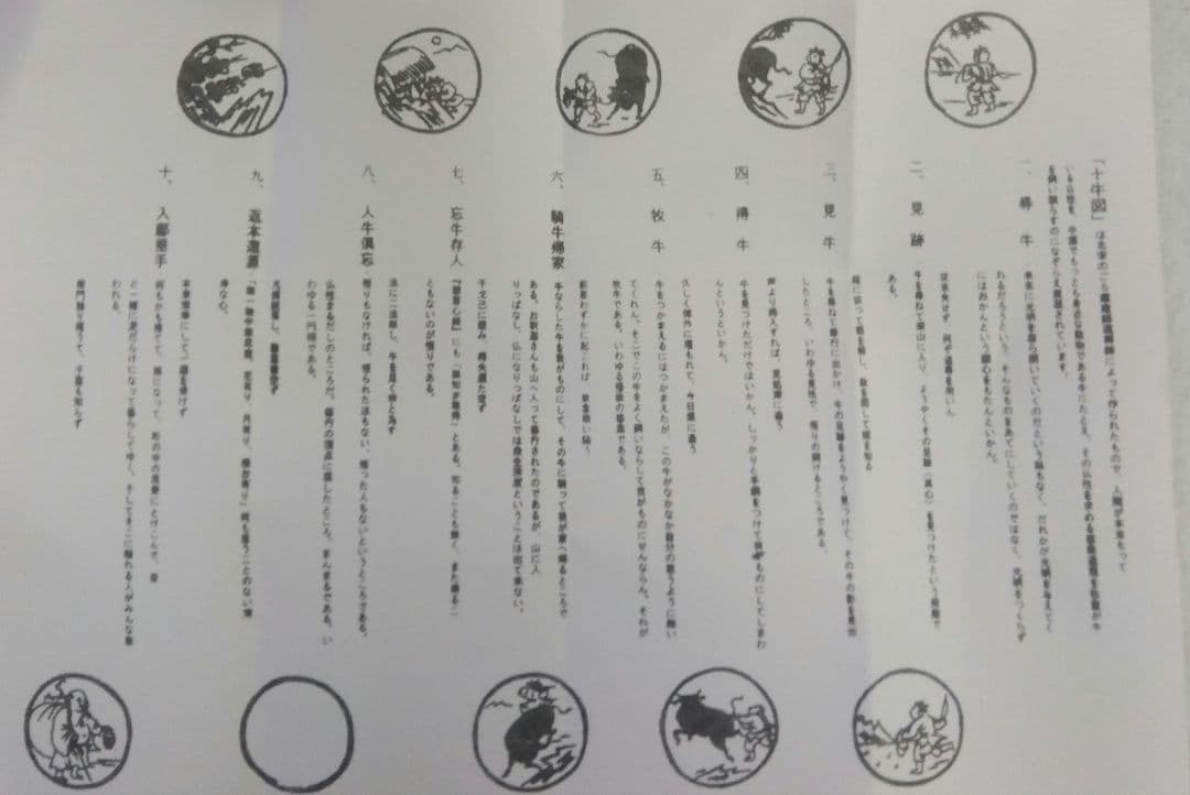 茶道具 茶碗 数茶碗 十牛図 掛分 伊羅保 信楽焼 西尾香舟 禅画