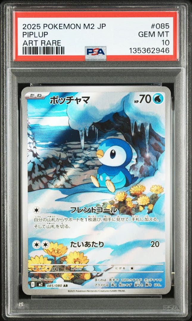 M2 ポッチャマ【AR】PSA10