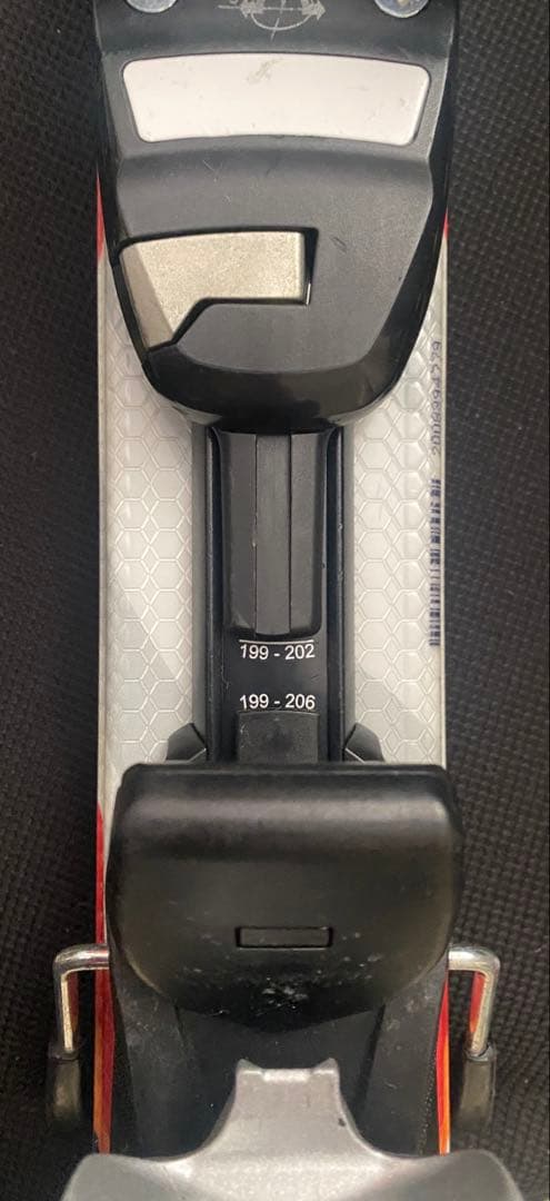 た*か様 ELAN Formula 100cm　ストック付