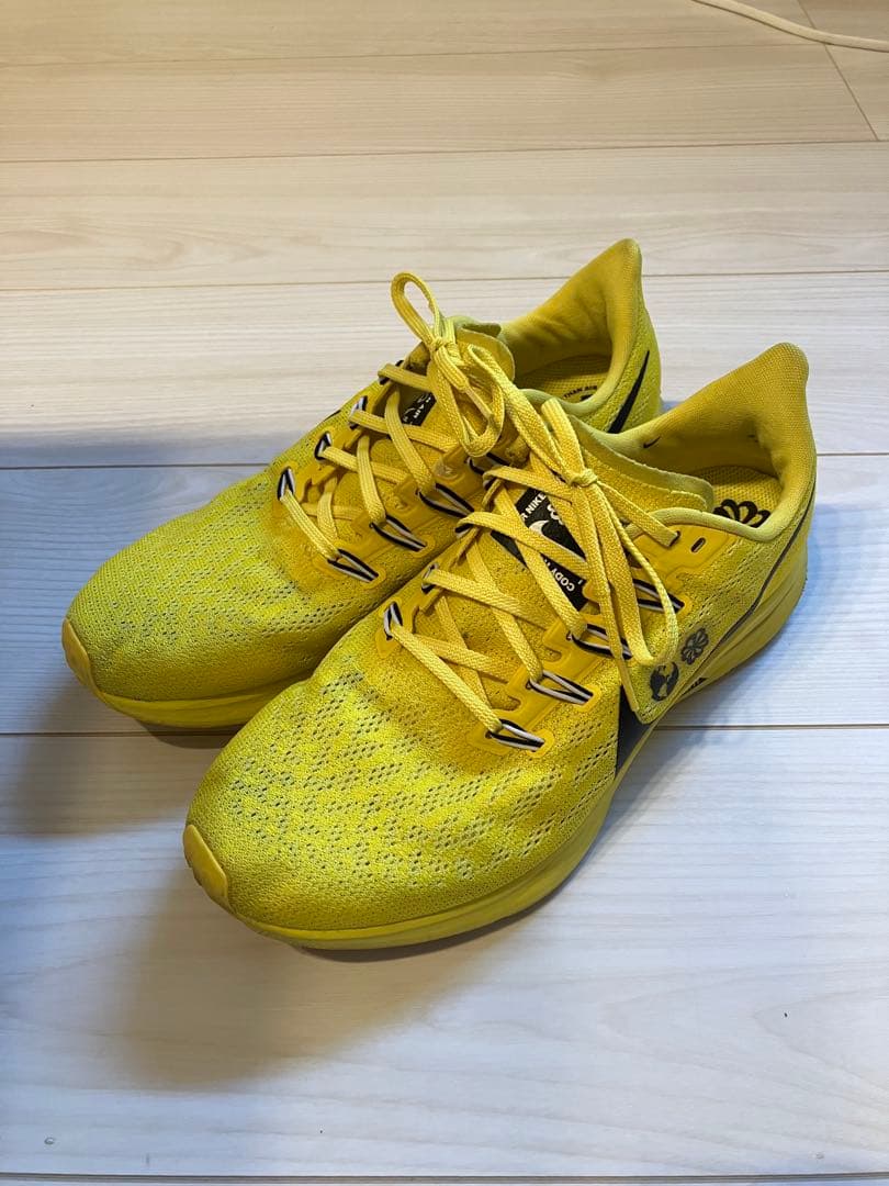 NIKE ペガサス36 コーディハドソン