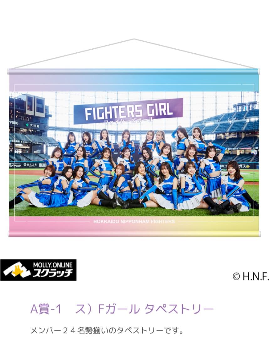 モーリーオンラインスクラッチ ファイターズガール A賞 タペストリー