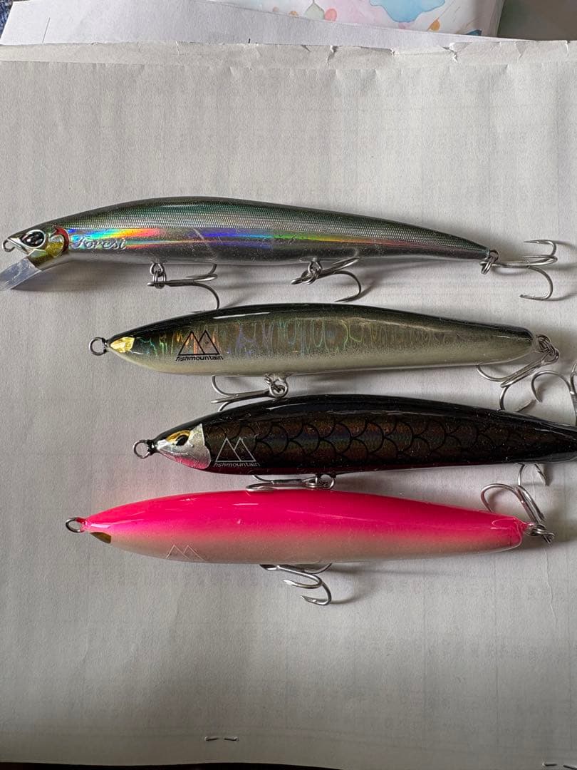 fish mountain accent トラウジョン