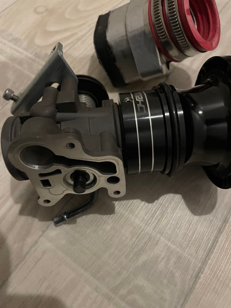 シグナス　ダンドラ　台湾　trhc