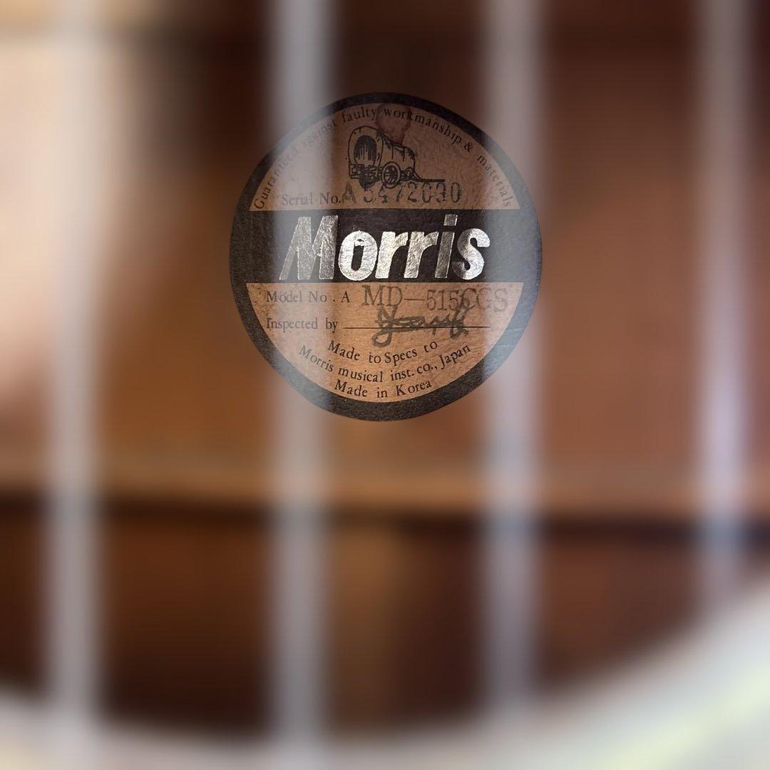 Morris アコースティックギター MD-515CCS