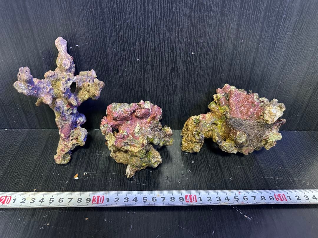 ナカジ 天然ライブロック 6.4kg (7個)