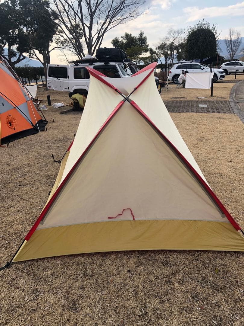 極上品⭐︎ Moss Stargazer モステント・スターゲイザー