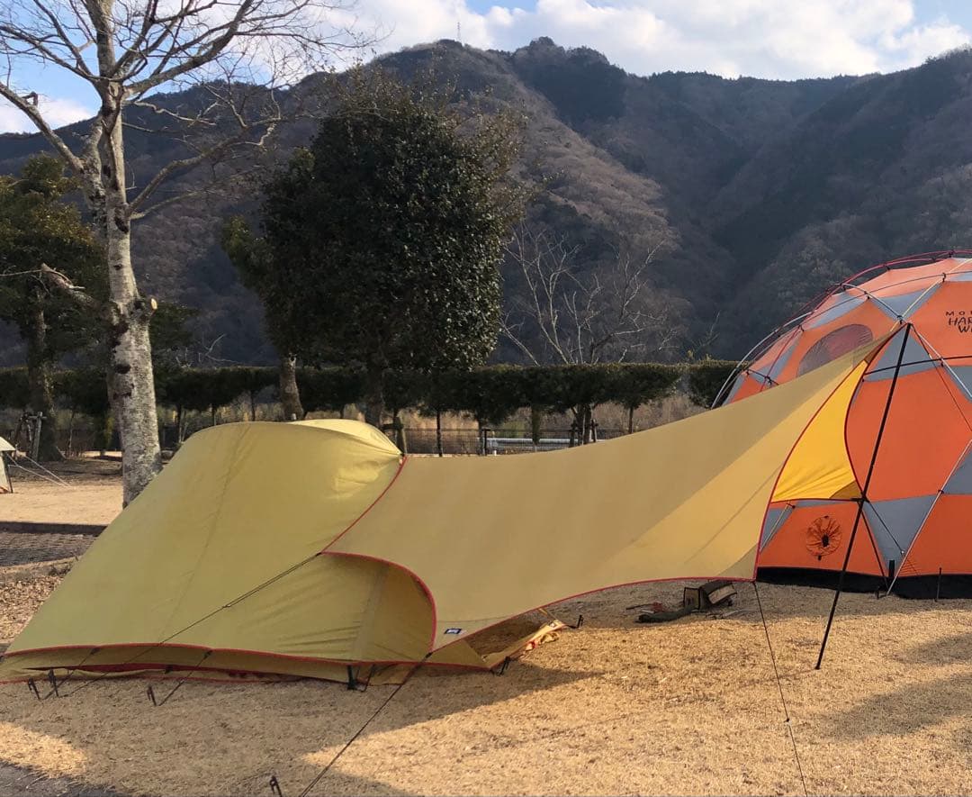 極上品⭐︎ Moss Stargazer モステント・スターゲイザー