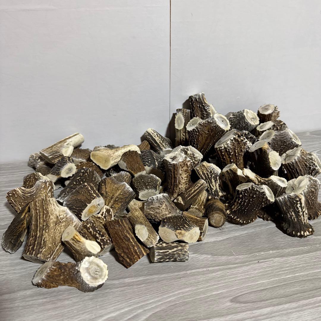 鹿の角　端材Ａ　ハンドメイド用