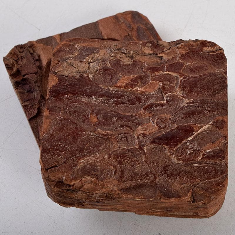 茶道具　松皮香合　表千家 十二代 宗左（惺斎）花押　共箱　V　8834