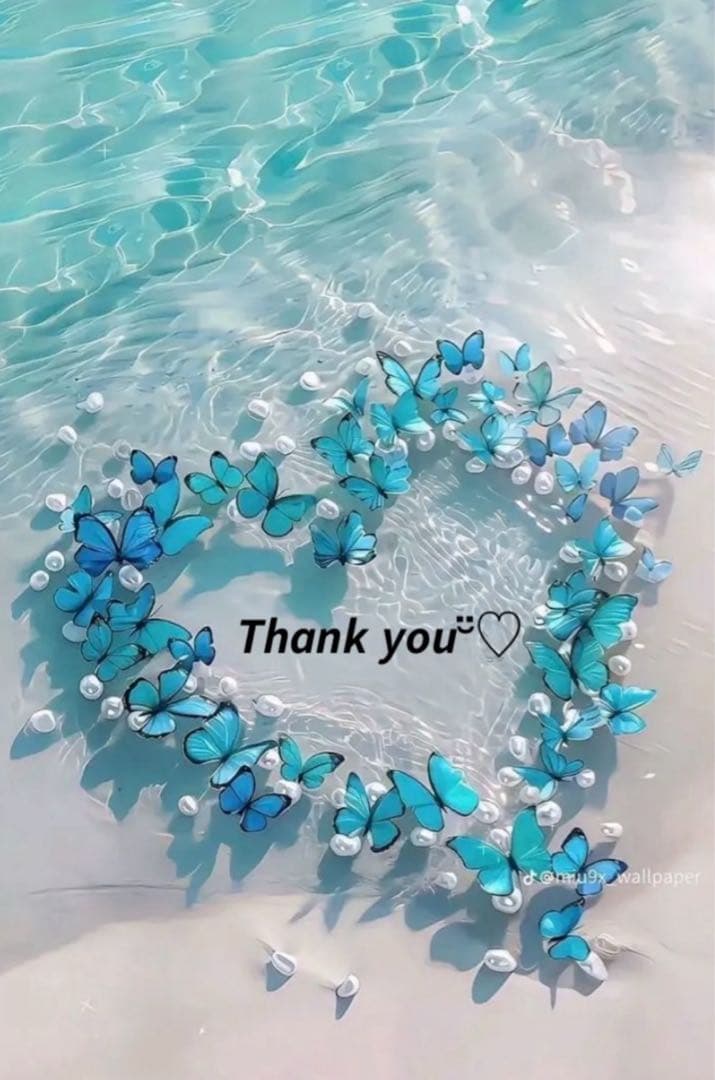 ❤️ puni-puniさま❤️