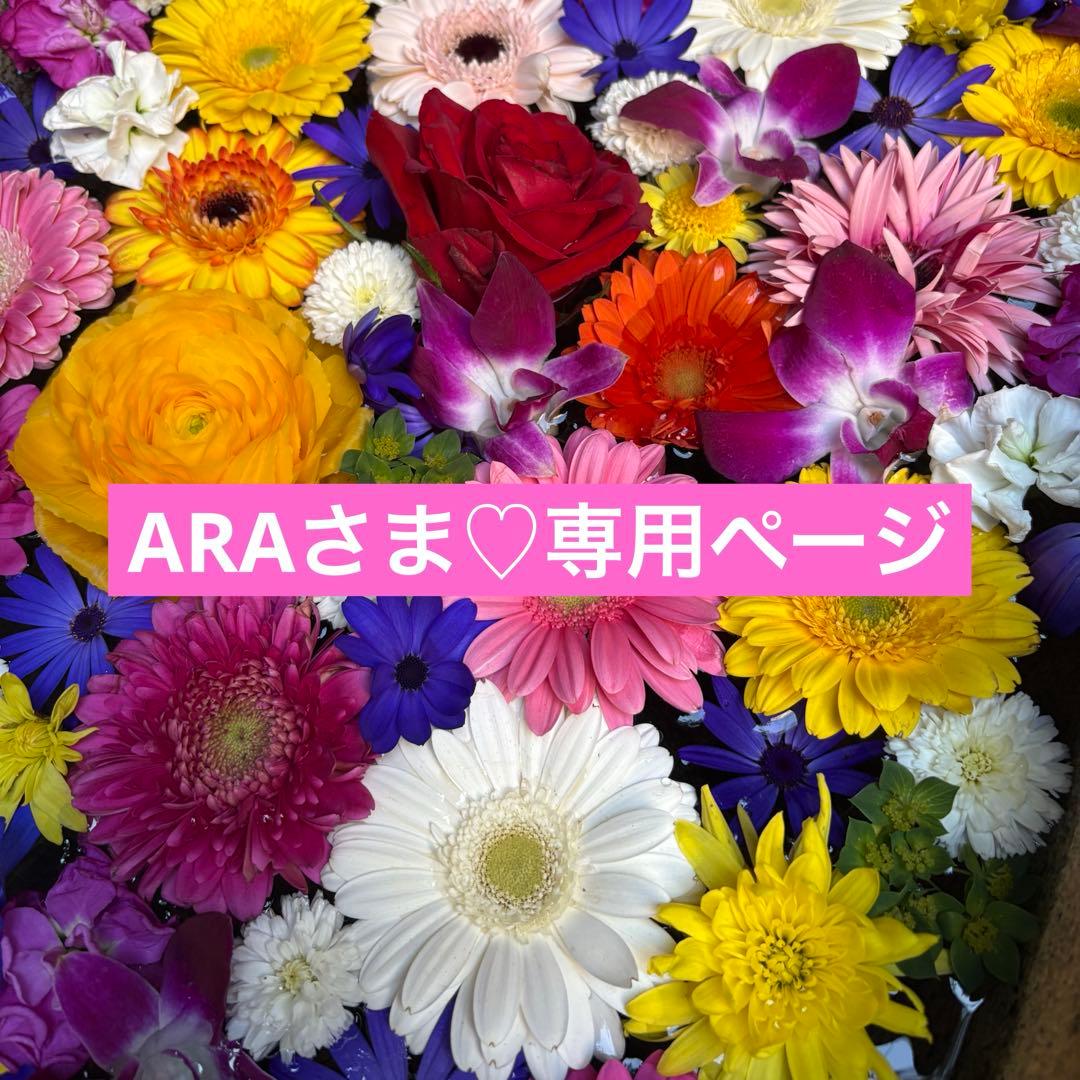 ARAさま♡専用ページ