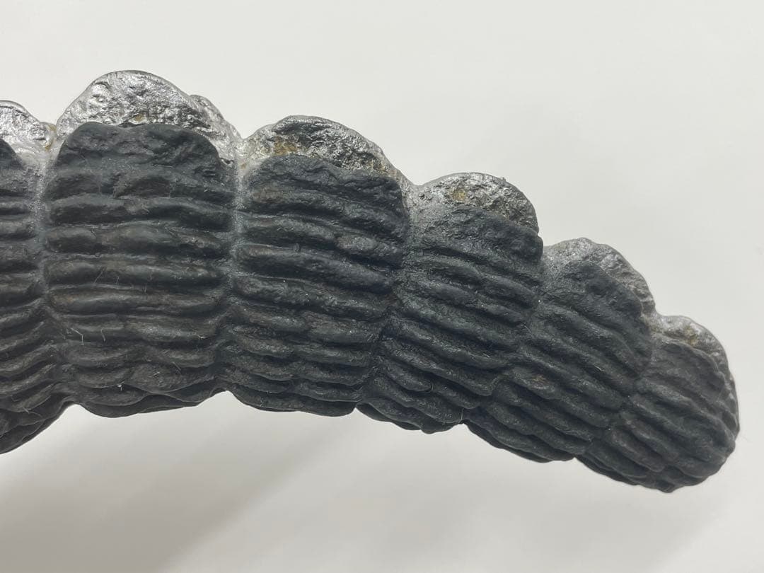 【極美品】 激レア！ジャイアント ゴジラ　特大フィギュア　バンダイ1988