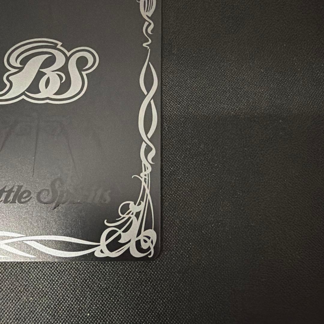 [白黒幻奏]レイ・オーバ(SECRET)