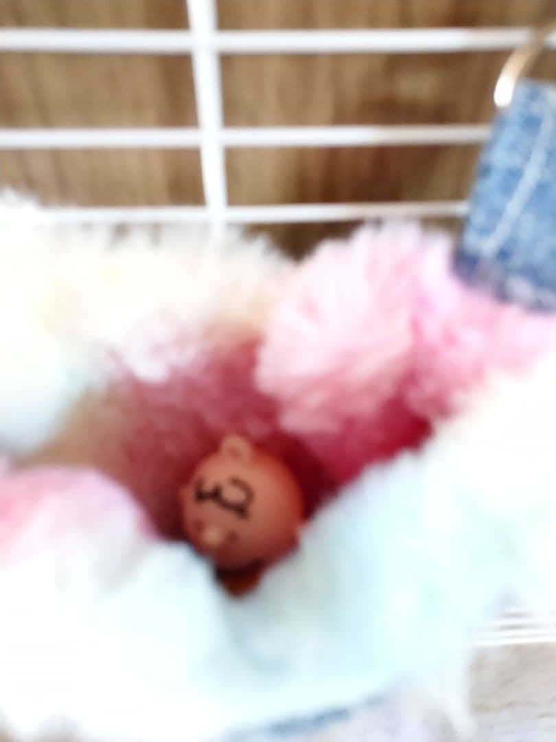 フクモモちゃんふっくらポーチ（トロピカル）