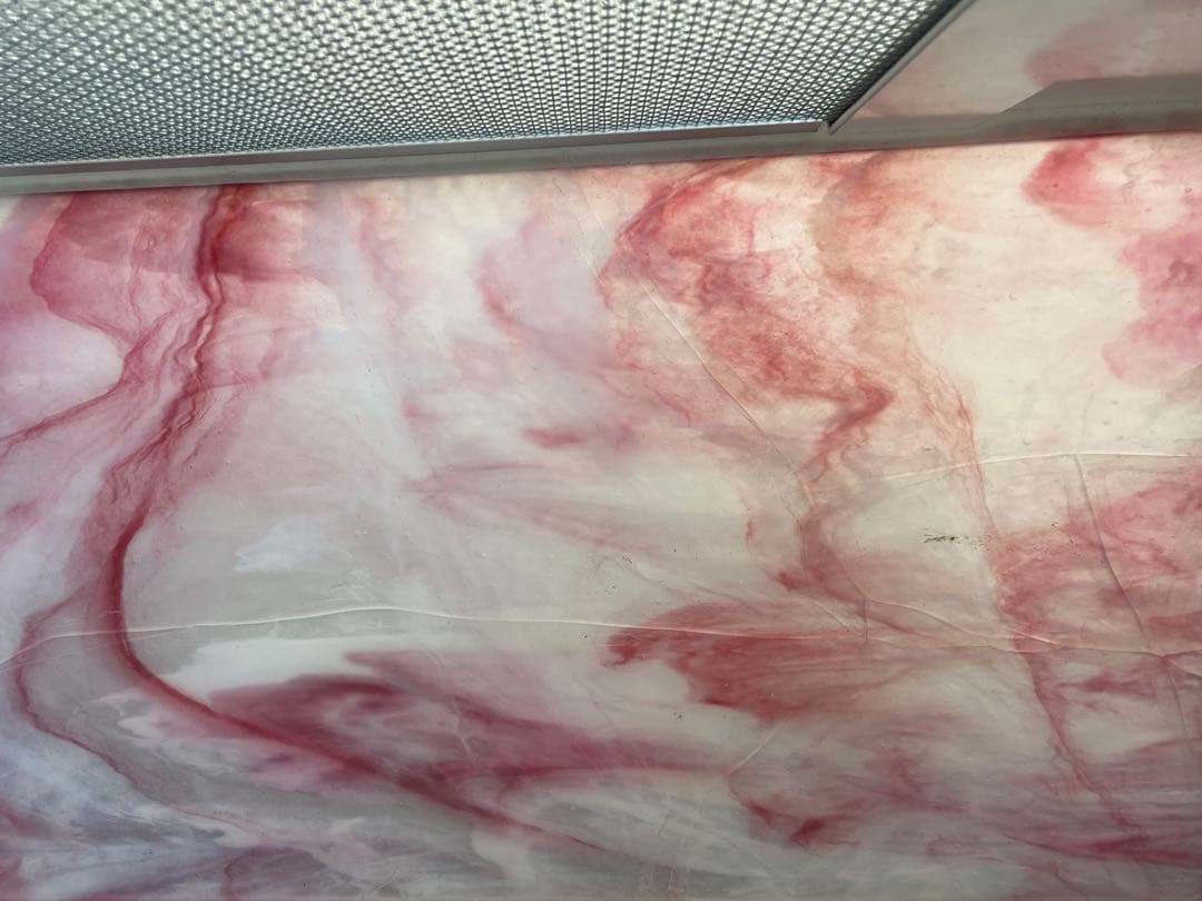 そら　龍匠 ガラス飼育ケージ