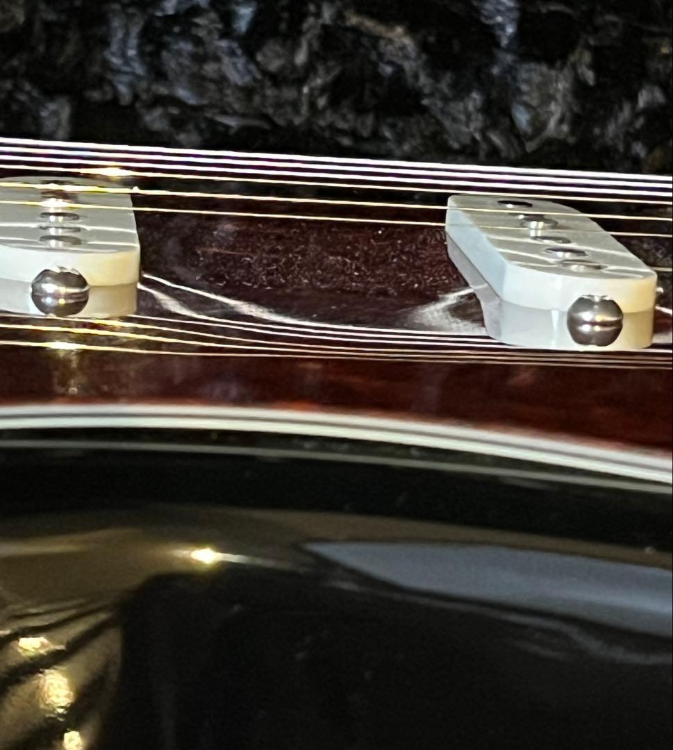 レア JAMES TYLER USA スペシャルエディション ブラッククラシック