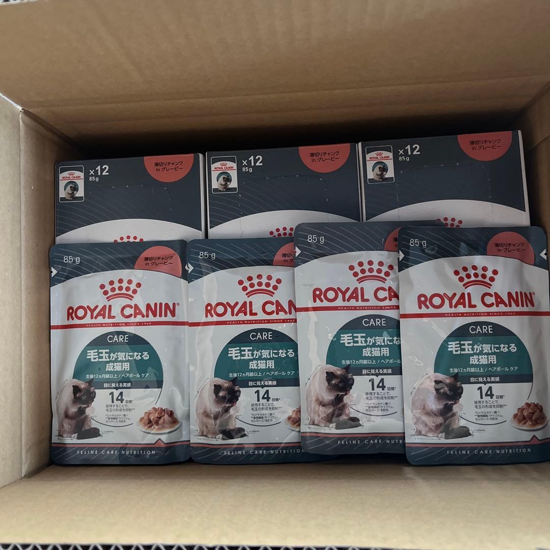  CANIN 毛玉が気になる成猫用 　計40個