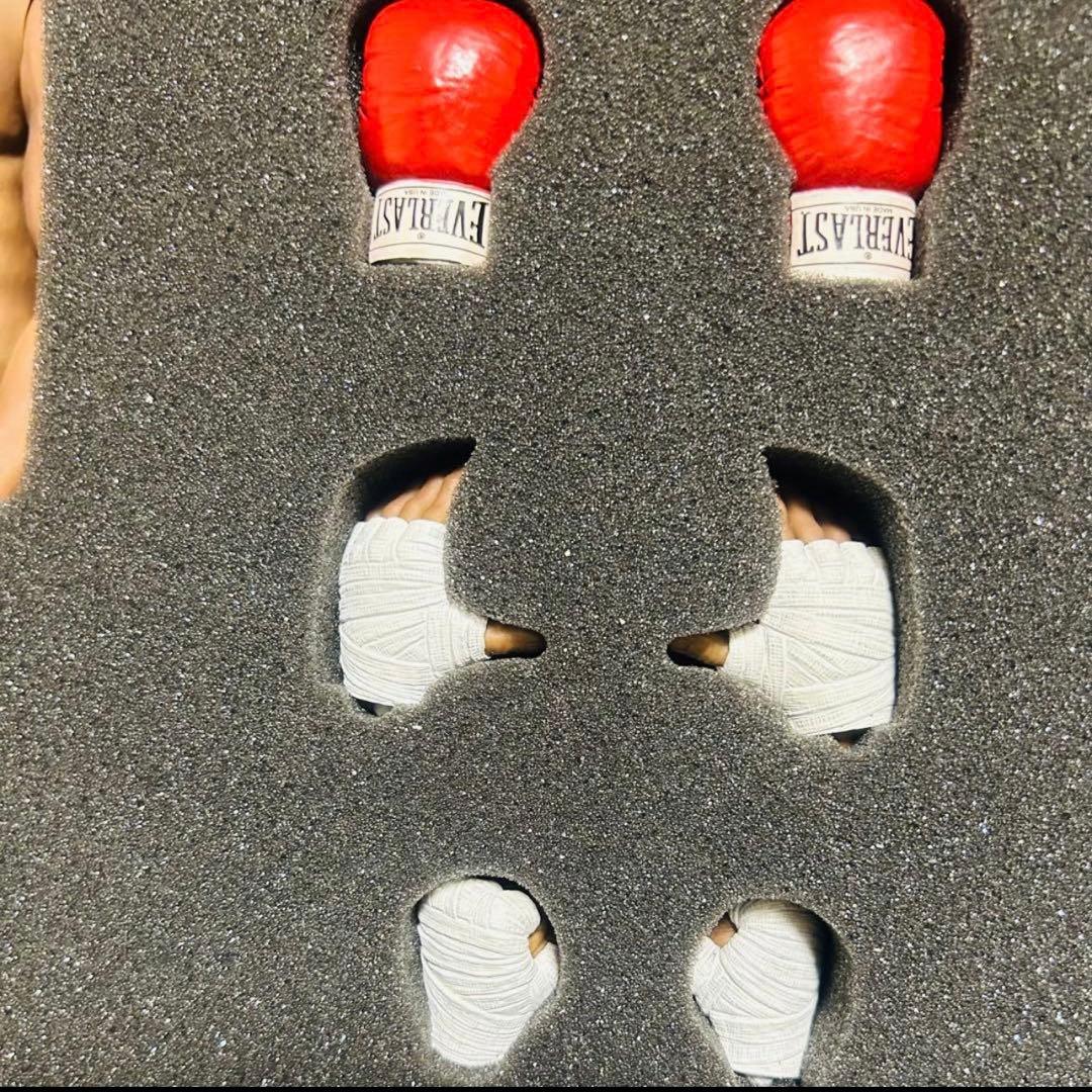 ストームコレクタブル　マイクタイソン　フィギュア　輸送箱付き　ホットトイズ