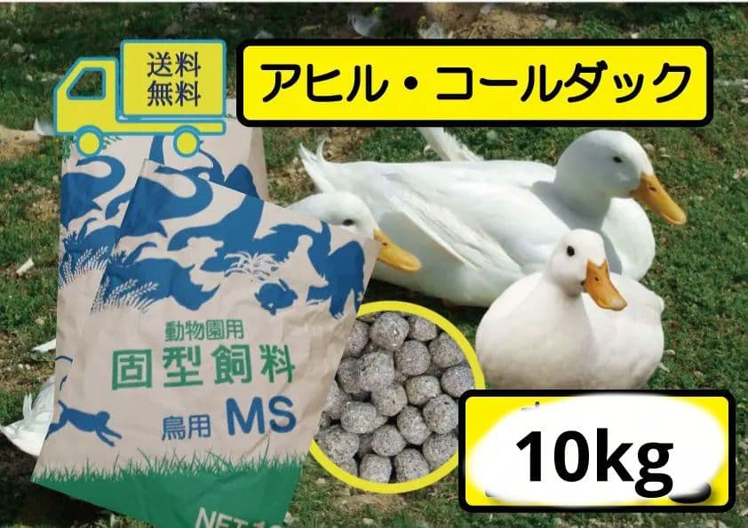 SALE送料無料【水鳥•アヒル•コールダック用飼料】20kg 大特価