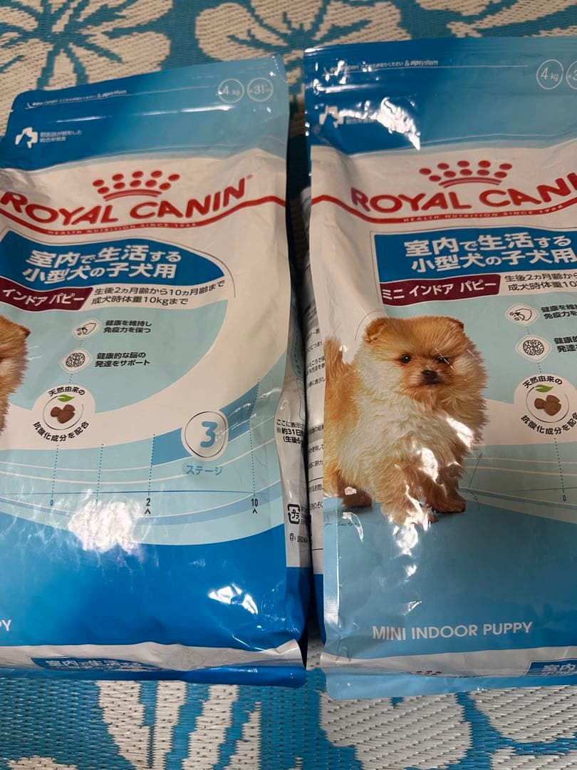  CANIN ミニインドアパピー 4kg 2個