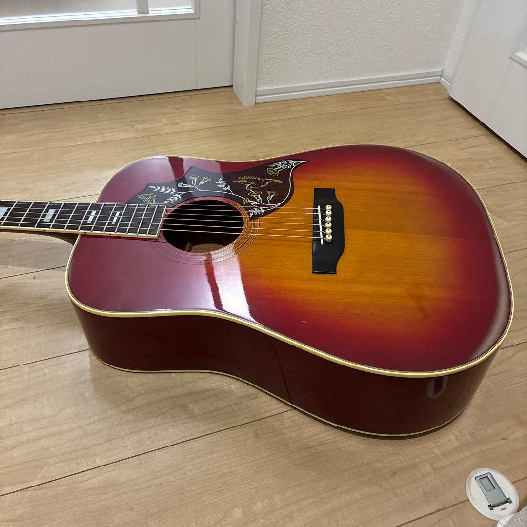 激レア！Morris(モーリス）WH-20ハミングバードタイプ　弦高調整済みです