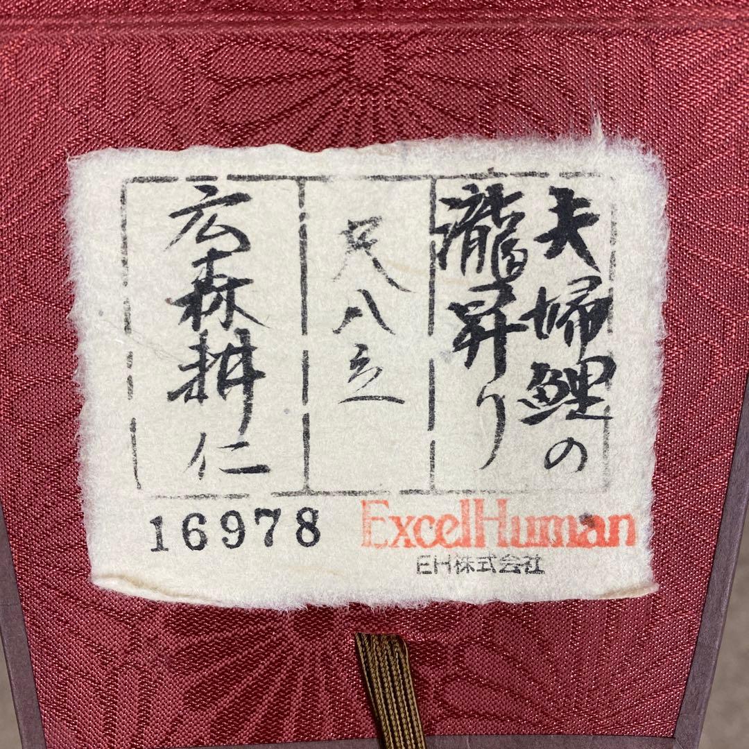美品 掛け軸 広森雄仁作 夫婦鯉の滝登り図 共箱 太巻き付 縁起物 美術年鑑掲載
