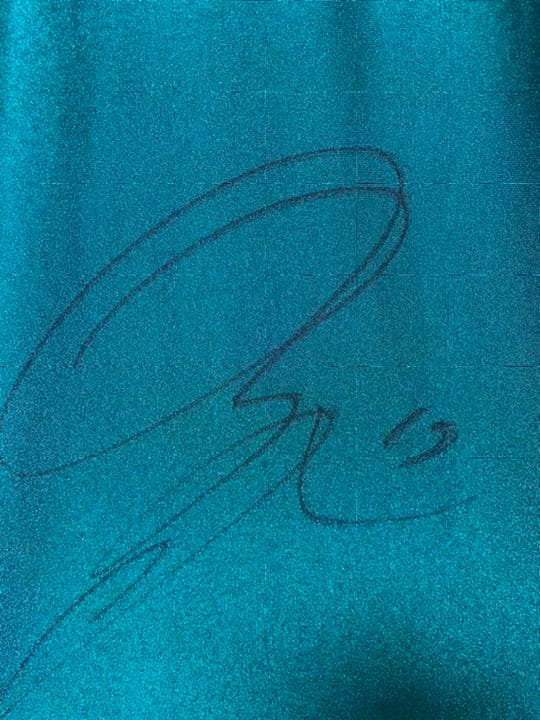 JOMOカップレプリカ2001  柳沢敦