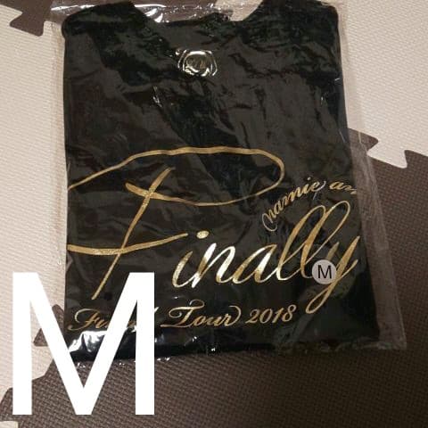 安室奈美恵 ツアーTシャツ Finally