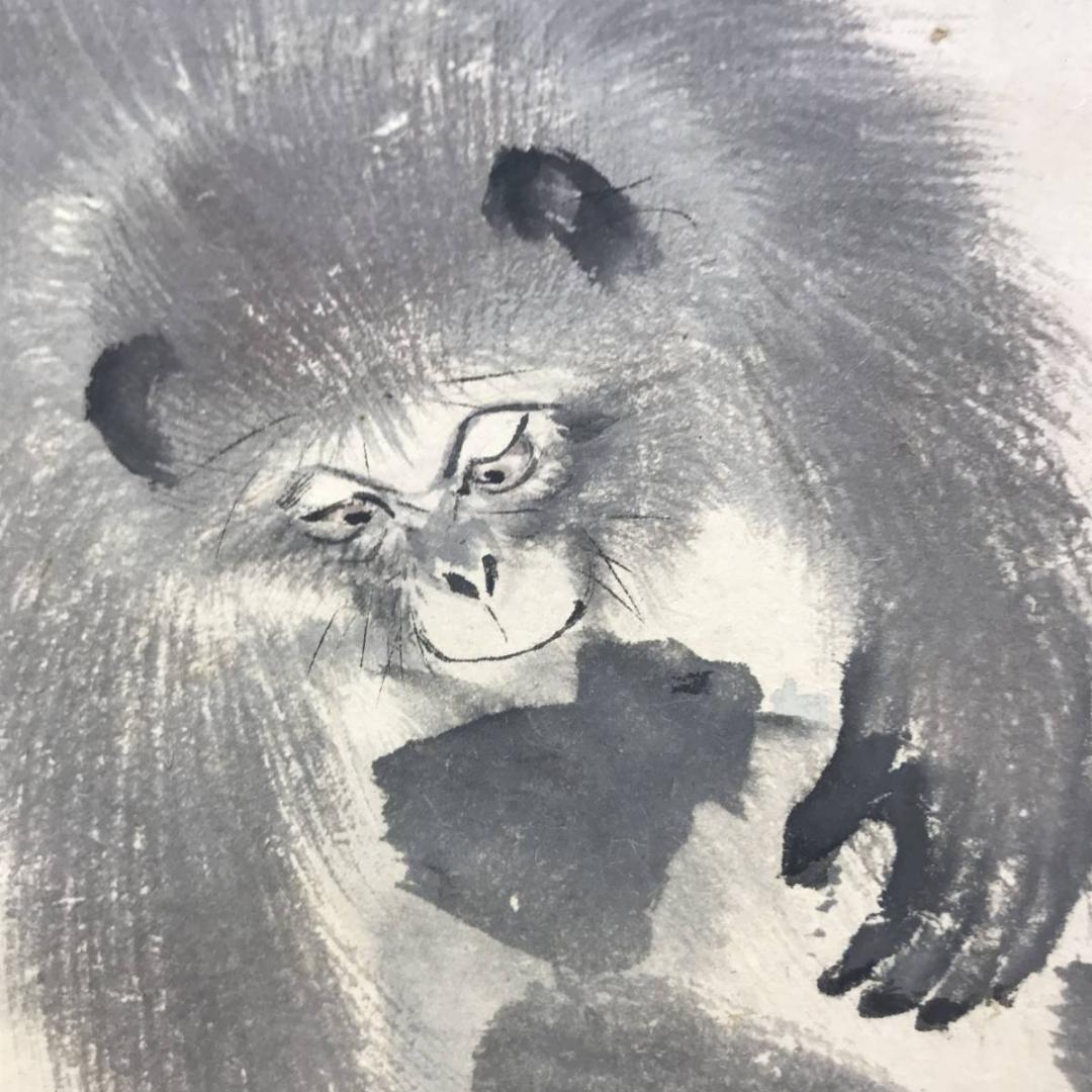 森寛斎/猿に蜂図/花鳥図/掛軸/名家伝来/AD-190