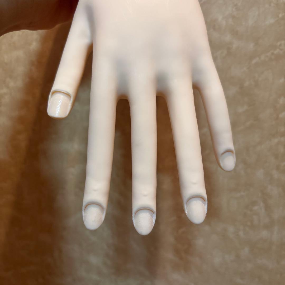 JNEC 認定モデルハンド 2個セット　骨折なし