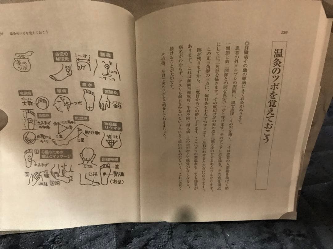 未使用のびわの葉温灸セットと新鮮なびわの葉10枚