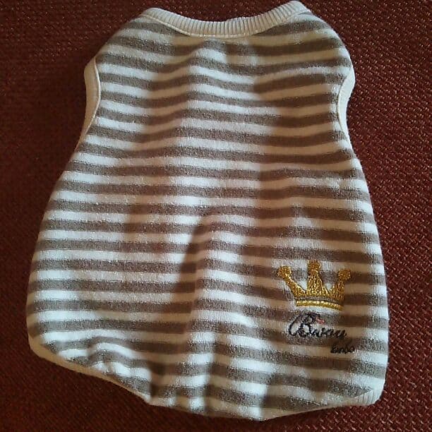 専用！美品  Sサイズ  犬用 服