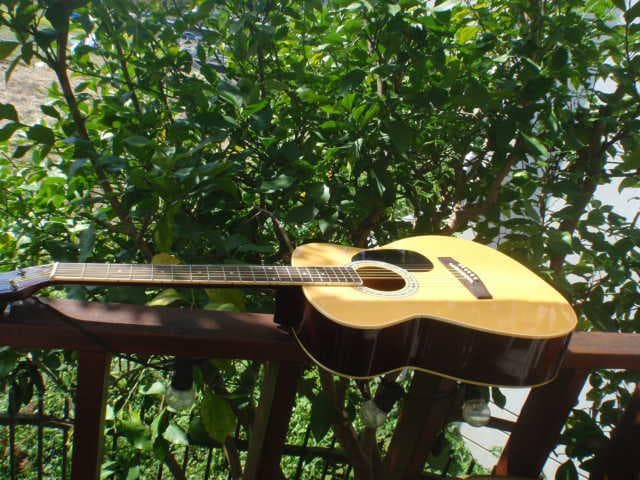 レジェンド　ＦＧ－15Ｎ　By ARIA 程度良い　よく鳴ります