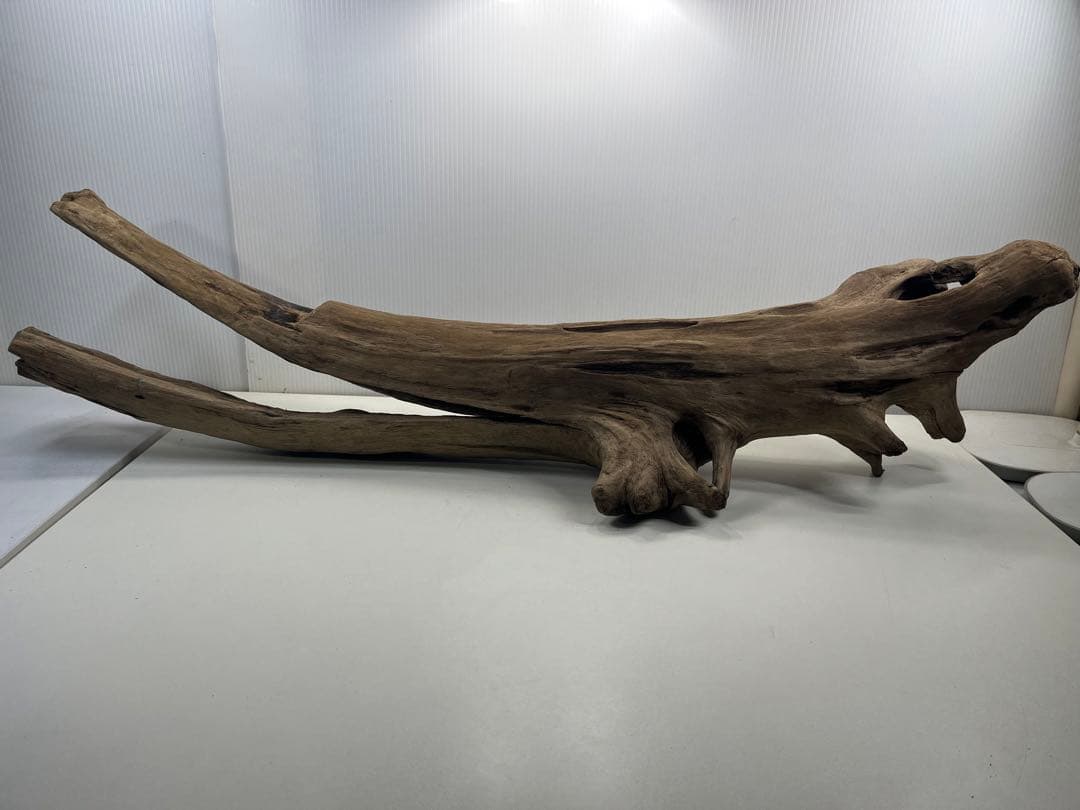 W27特大流木 アク抜き済み流木 爬虫類シェルター 登り木 インテリア 生け花