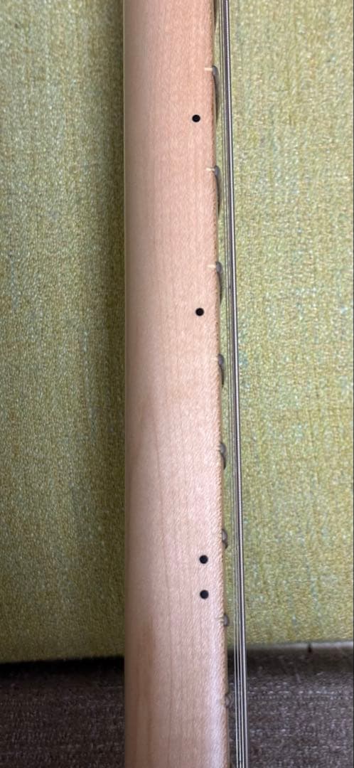 ギター Fender Richie Kotzen Telecaster