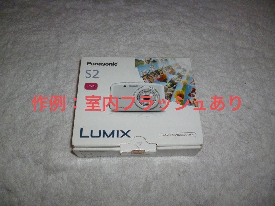 美品【動作確認済】Panasonic パナソニック LUMIX DMC-S2