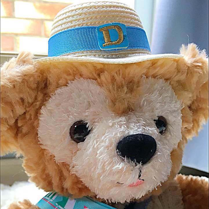 ダッフィースプリングヴォヤッジ　ぬいぐるみ　SS