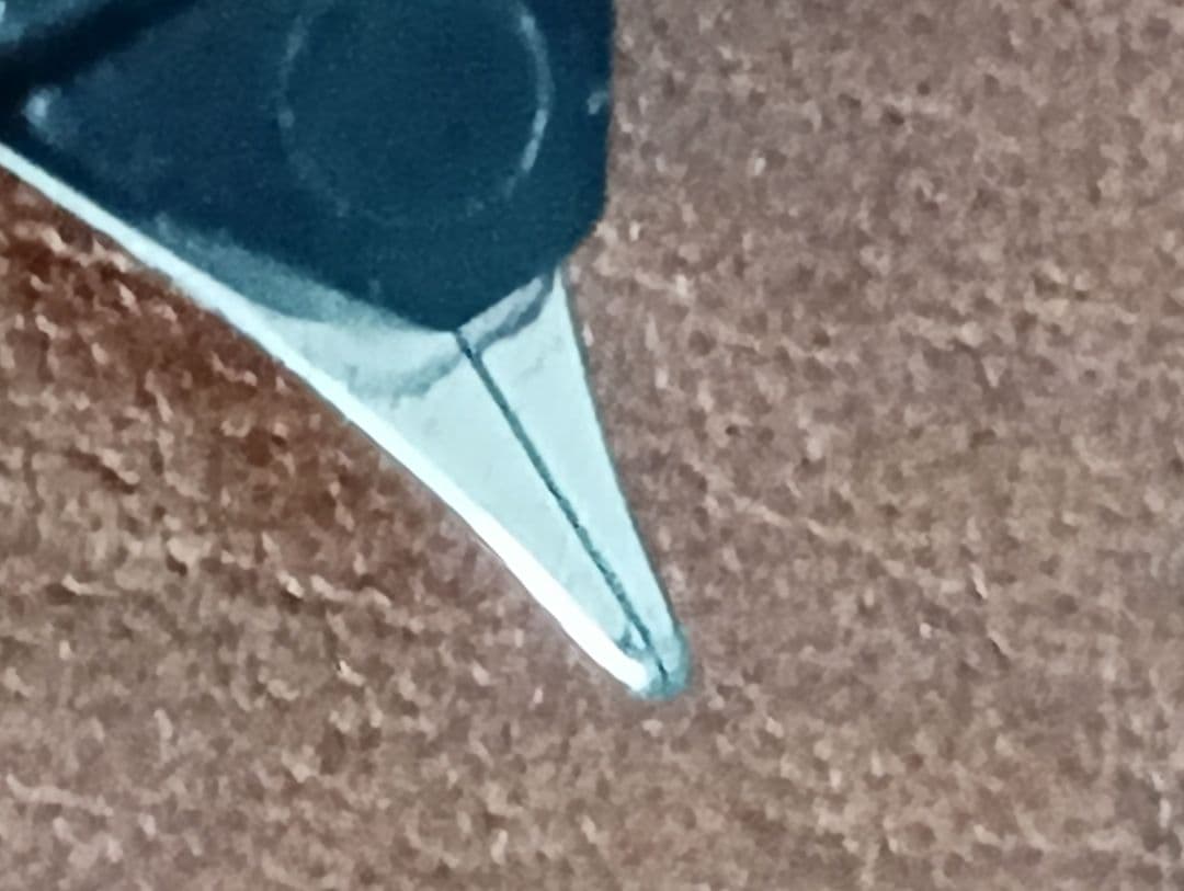 ペリカン　鉄ペン　吸引式　EF ヒナ２羽