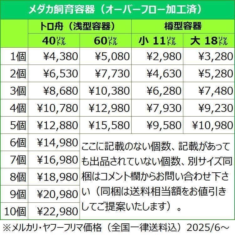 メダカ飼育ケース 60㍑トロ舟x5個 オーバーフロー 金魚飼育容 メダカ飼育容器