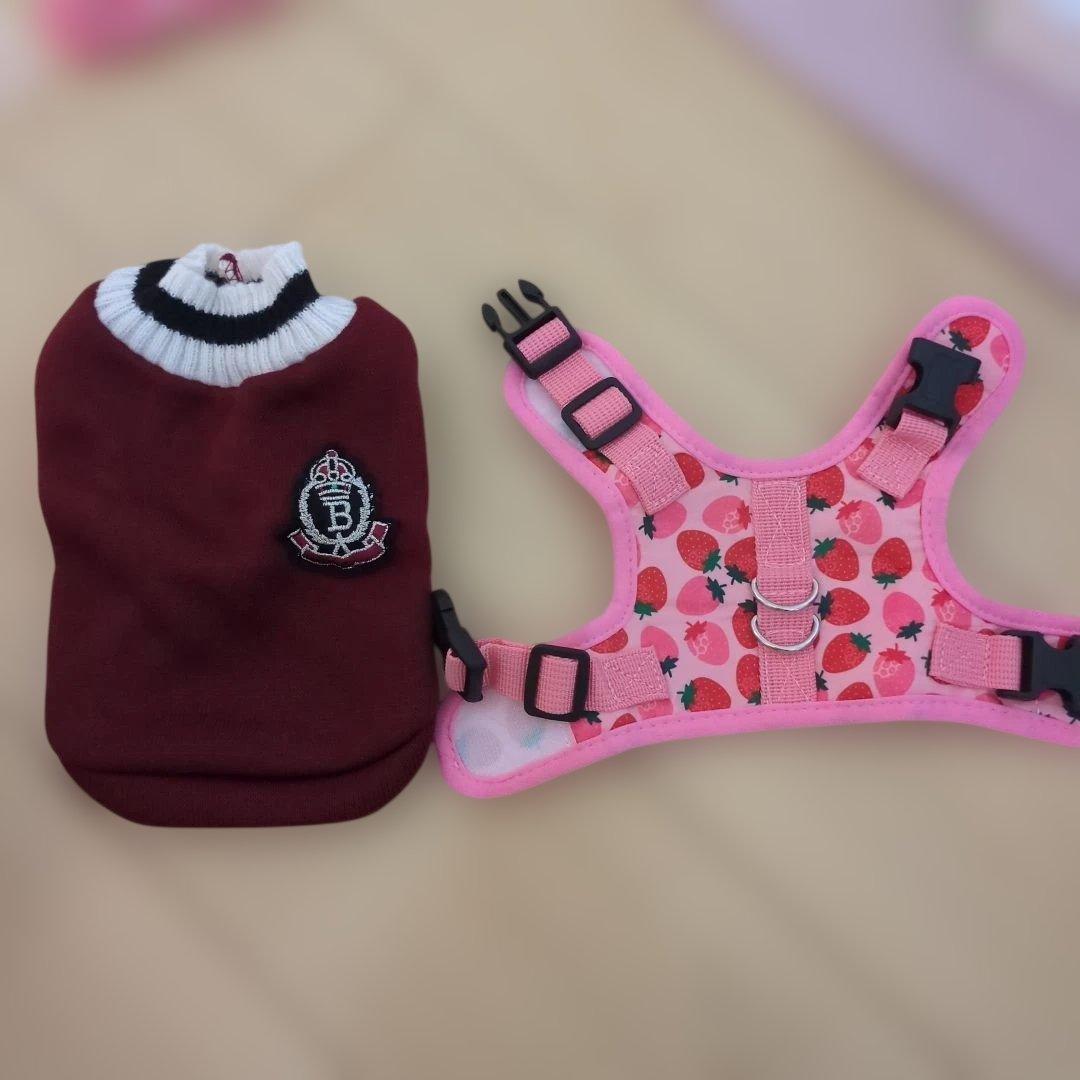 ハーネスとニット犬服猫用セット XS
