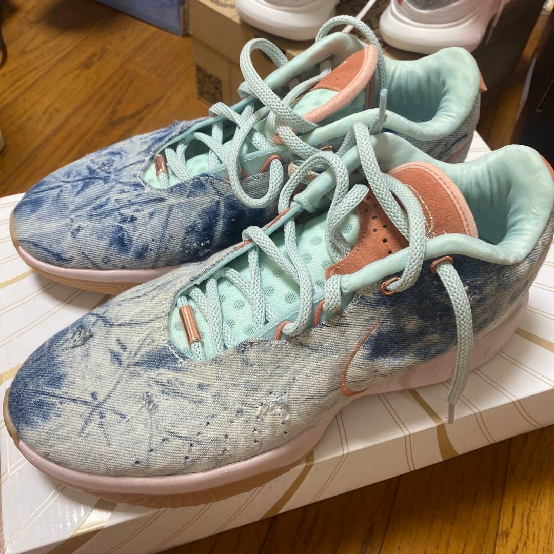 LEBRON XXI 9.5 ジョーダン　コービー　カイリー　海外限定カラー