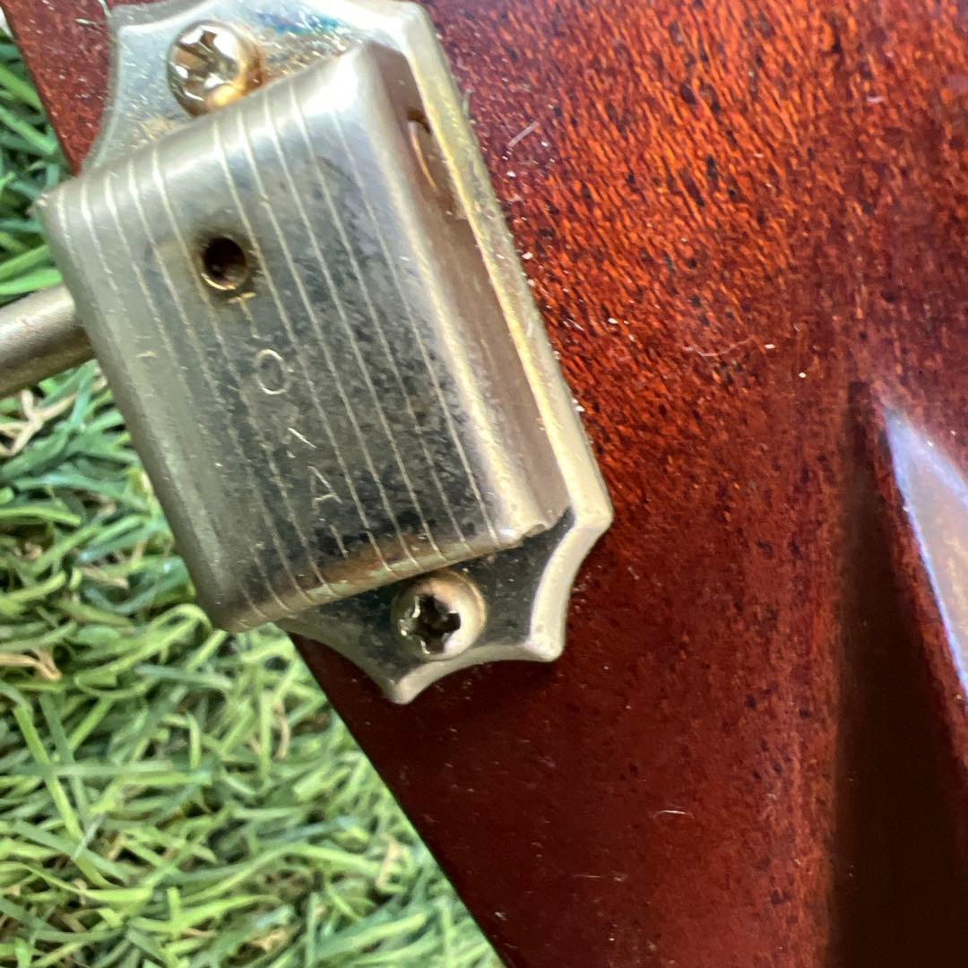 希少TOKAI GAKKI CatsEyes CE-800T 1212680