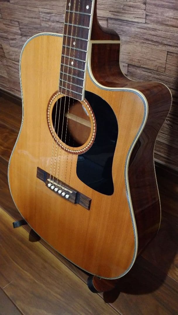 Washburn d10sce　エレアコ