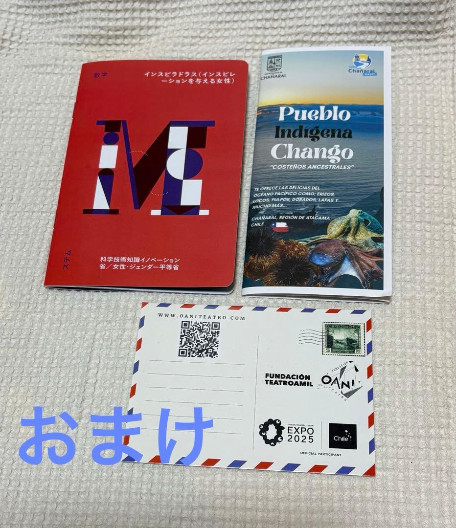 万博　チリグッズセット　おまけ付　【非売品】