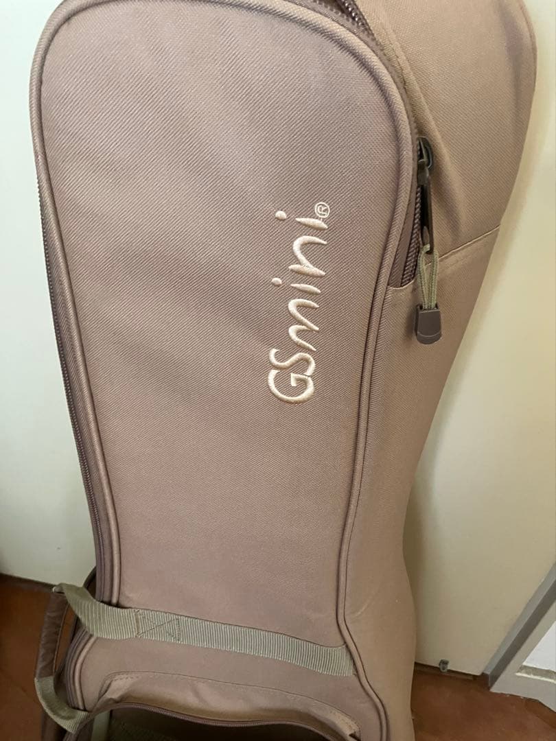 【訳あり】Taylor GS Mini エレキアコースティックギター