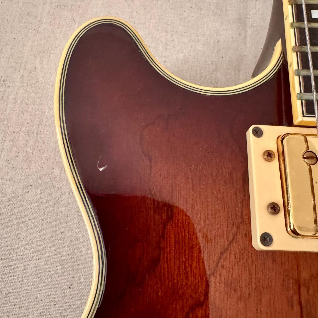 【希少アイバニーズ製セミアコ】1989年製Ibanez AM200 AV