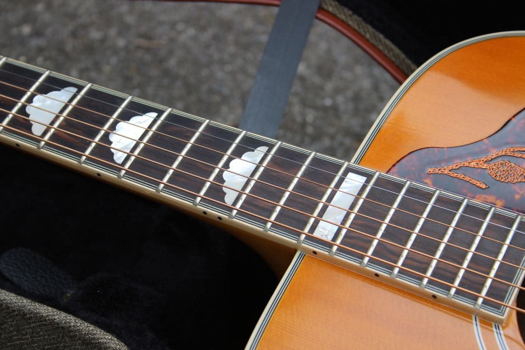 Epiphone Masterbilt Excellente ハードケース付き