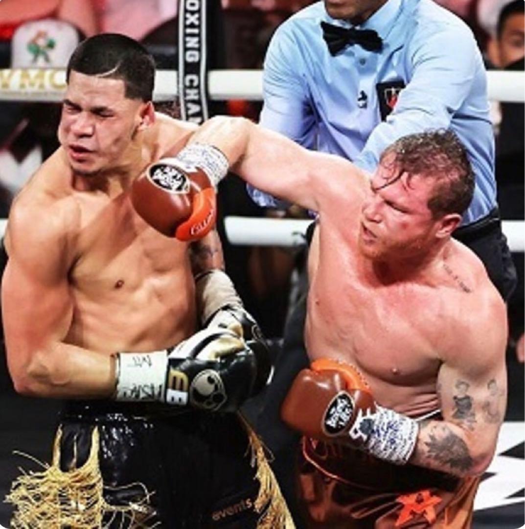 ボクシンググローブ　ノーボクシングノーライフ　10oz特注品